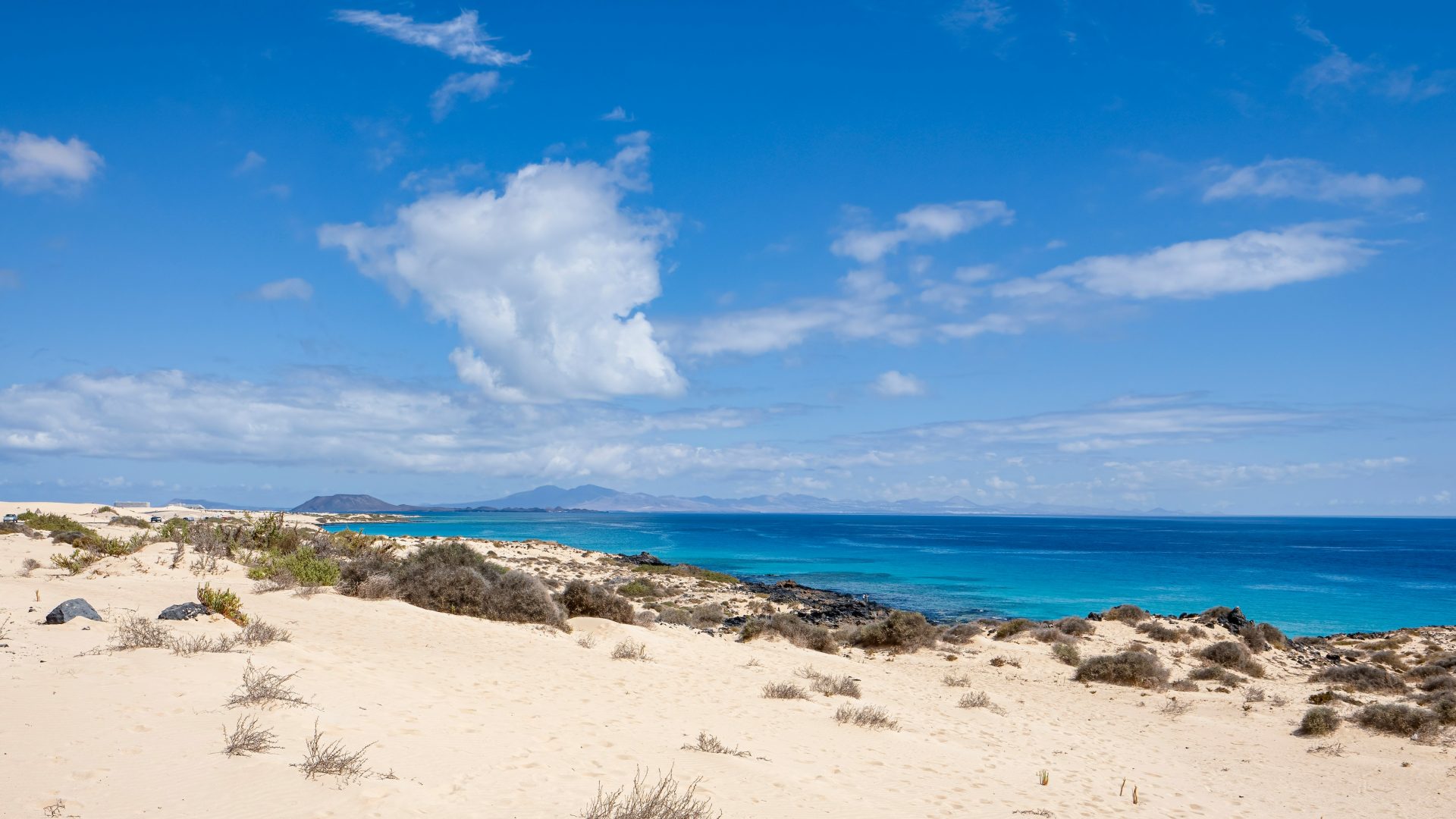 Playa con el mar al fondo